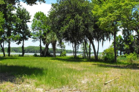 Land in Leesburg, Florida № 2433774 - photo 18