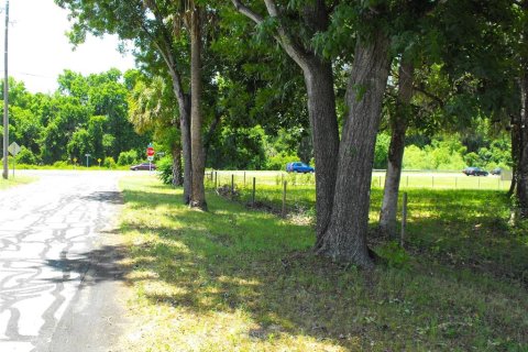Land in Leesburg, Florida № 2433774 - photo 14
