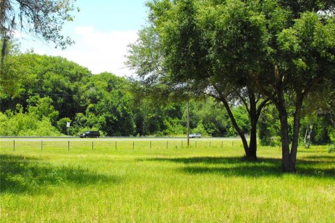 Land in Leesburg, Florida № 2433774 - photo 16