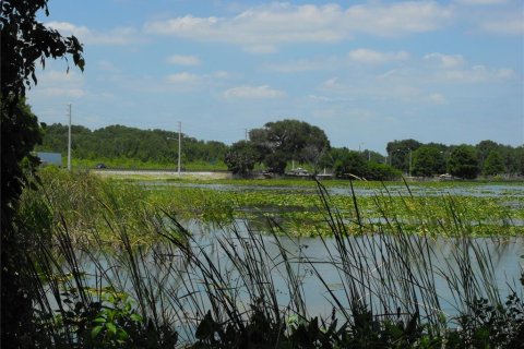 Land in Leesburg, Florida № 2433774 - photo 20