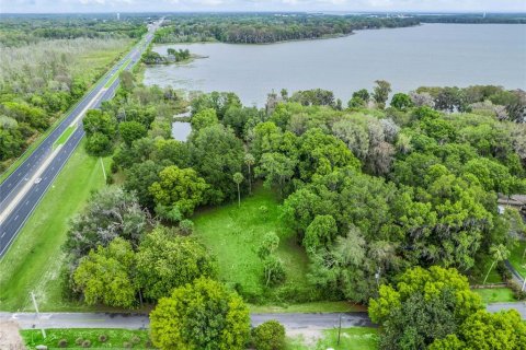 Land in Leesburg, Florida № 2433774 - photo 11