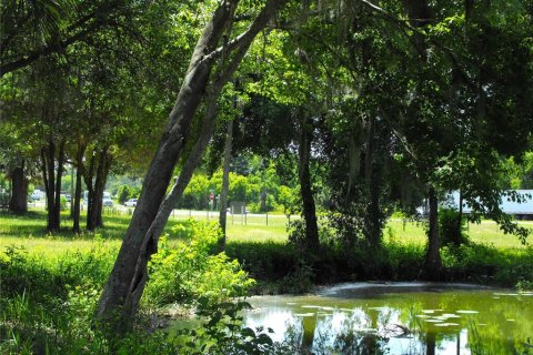 Land in Leesburg, Florida № 2433774 - photo 17