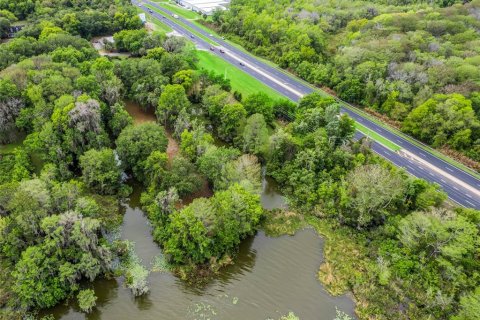 Land in Leesburg, Florida № 2433774 - photo 7