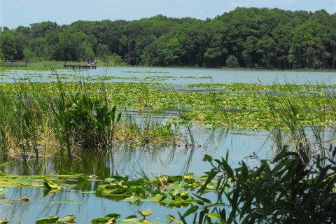 Land in Leesburg, Florida № 2433774 - photo 22