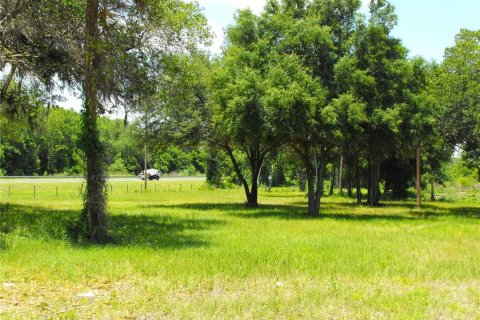 Land in Leesburg, Florida № 2433774 - photo 15