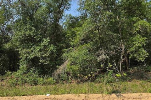 Land in Interlachen, Florida № 2204079