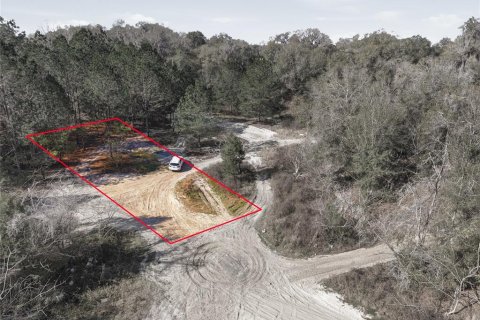 Land in Citra, Florida № 2162377 - photo 28