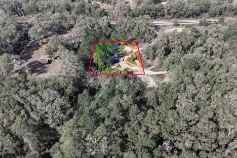 Land in Citra, Florida № 2162377 - photo 20