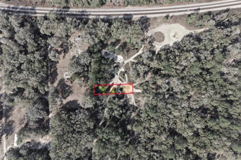 Land in Citra, Florida № 2162377