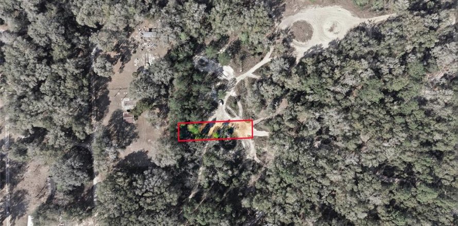 Land in Citra, Florida № 2162377