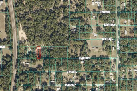 Land in Citra, Florida № 2162377 - photo 10