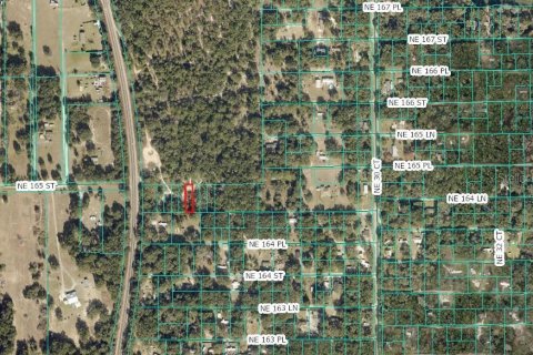 Land in Citra, Florida № 2162377 - photo 11