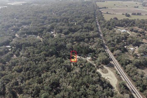 Land in Citra, Florida № 2162377 - photo 7