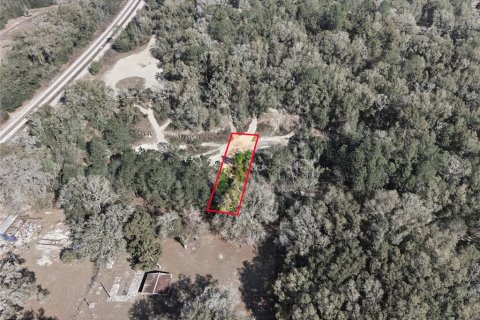 Land in Citra, Florida № 2162377 - photo 18