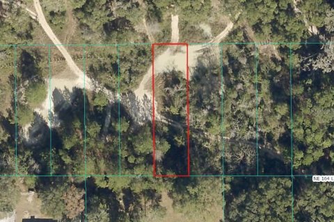 Land in Citra, Florida № 2162377 - photo 3