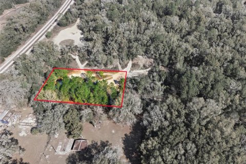 Land in Citra, Florida № 2162377 - photo 17