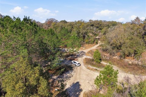 Land in Citra, Florida № 2162377 - photo 29