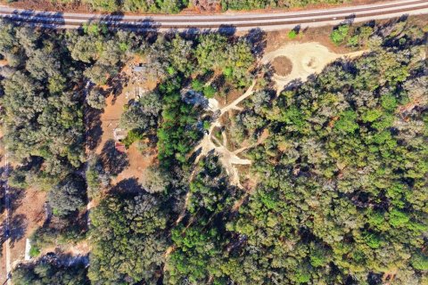 Land in Citra, Florida № 2162377 - photo 2