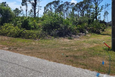 Land in Port Charlotte, Florida № 410258 - photo 2