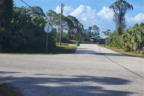 Land in Port Charlotte, Florida № 410258 - photo 18