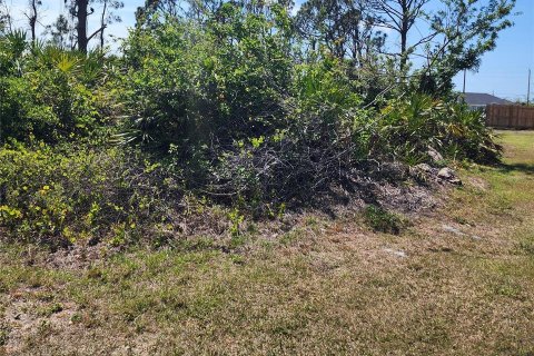 Land in Port Charlotte, Florida № 410258 - photo 5