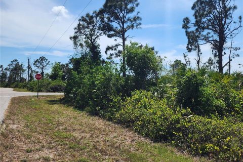 Land in Port Charlotte, Florida № 410258 - photo 7