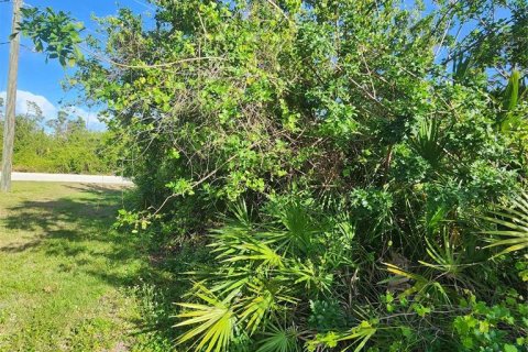 Land in Port Charlotte, Florida № 410258 - photo 16
