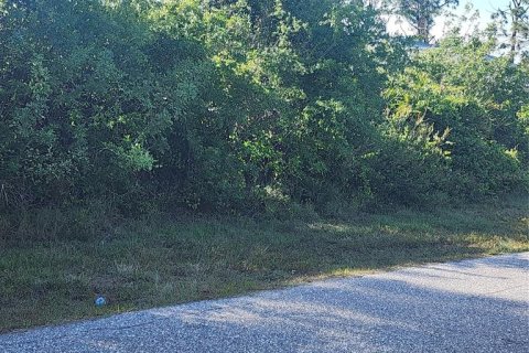 Land in Port Charlotte, Florida № 410258 - photo 19