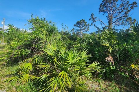 Land in Port Charlotte, Florida № 410258 - photo 12