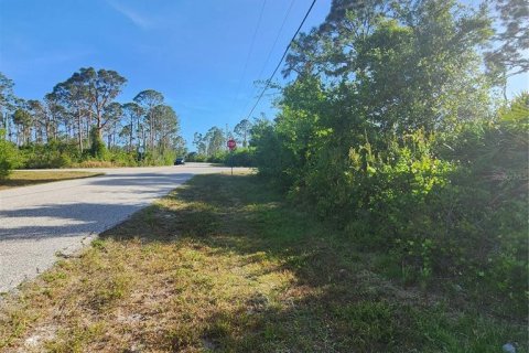 Land in Port Charlotte, Florida № 410258 - photo 15