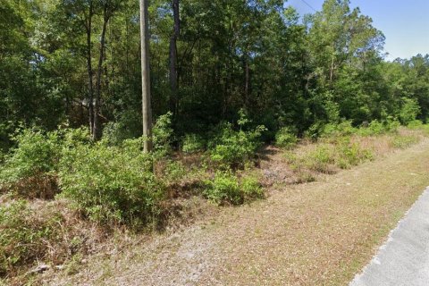 Land in Dunnellon, Florida № 2162978 - photo 3