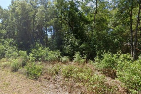 Land in Dunnellon, Florida № 2162978