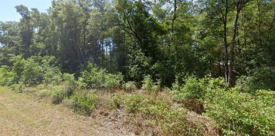 Land in Dunnellon, Florida № 2162978