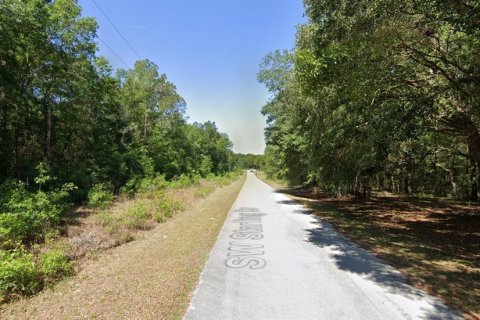 Land in Dunnellon, Florida № 2162978 - photo 4