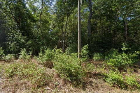Land in Dunnellon, Florida № 2162978 - photo 2