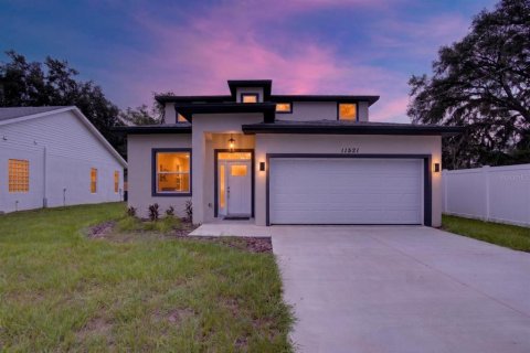 House in Thonotosassa, Florida 3 bedrooms, 180.6 sq.m. № 2324266