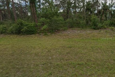 Land in Port Charlotte, Florida № 2165422 - photo 2
