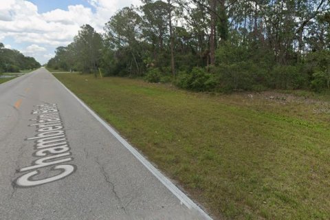 Land in Port Charlotte, Florida № 2165422 - photo 3