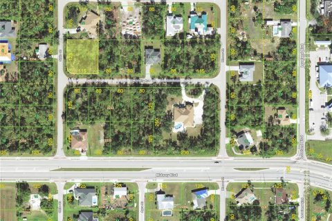 Land in Punta Gorda, Florida № 2224807 - photo 2