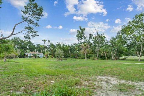 House in Land O' Lakes, Florida 4 bedrooms, 178.56 sq.m. № 2156396 - photo 7