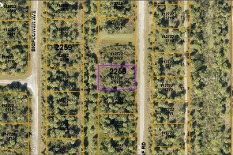 Land in North Port, Florida № 2163493 - photo 5