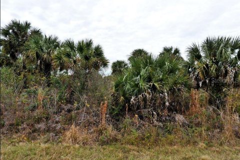 Land in North Port, Florida № 2163493 - photo 2