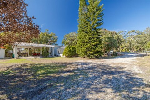 Villa ou maison à vendre à Palm Harbor, Floride: 2 chambres, 143.07 m2 № 1561230 - photo 22