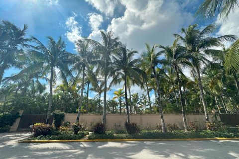 Land in Palm Beach, Florida № 724762 - photo 1