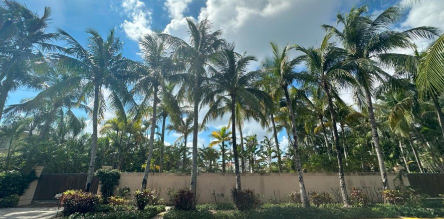 Land in Palm Beach, Florida № 724762