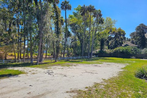Immobilier commercial à vendre à New Smyrna Beach, Floride: 105.17 m2 № 2101395 - photo 3
