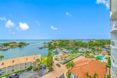 Copropriété à louer à Saint Petersburg, Floride: 2 chambres, 158.96 m2 № 2143123 - photo 11