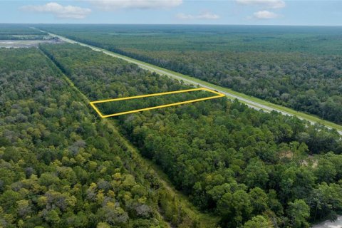 Terreno en venta en New Smyrna Beach, Florida № 723875 - foto 10