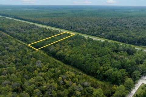 Terreno en venta en New Smyrna Beach, Florida № 723875 - foto 9
