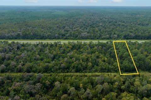 Terreno en venta en New Smyrna Beach, Florida № 723875 - foto 8